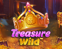 Treasure Wild